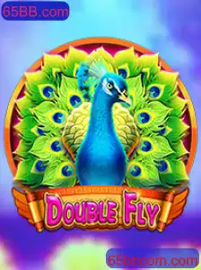 Explorando o Mundo de DoubleFly: Um Guia Completo